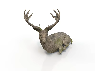 Moss Covered Deer With Large Antlers Lying Peacefully On White Background 3d model