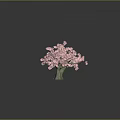 Three Pink Flowering Trees With Green Trunks On Grey Background And Ground Reflections