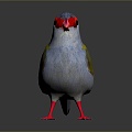 bird bird bird bird game animal cartoon animal animal realistic animal 3d model