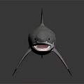 Silver Shark 3D Model With Open Mouth Sharp Teeth And Dark Background