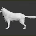 White Fluffy Dog Game Movie Character Standing On Dark Background With Reflection 3d model