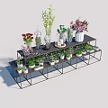 Bonsai Potted Plants Displayed On Black Metal Shelf With Various Greenery
