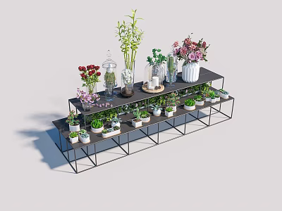 Bonsai Potted Plants Displayed On Black Metal Shelf With Various Greenery 3d model