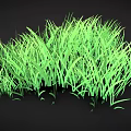 Green Grass With Slender Leaves And Lush Dense Growth In 3D Rendering