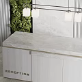 Modern Reception Desk With Green Plant Wall Marble Wall Pendant Light And Reception Sign