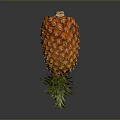 Fresh Ripe Pineapple With Green Leaves And Golden Yellow Skin Against Dark Background