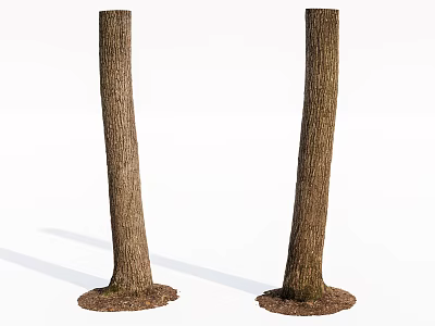 Two Wooden Tree Trunks With Natural Stone Bases As Decorative Elements 3d model