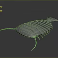 White Trilobite 3D Model On Dark Background With Segmented Exoskeleton And Long Antennae 3d model