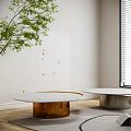 Contemporary Coffee Tables with Round White Orange Tops Metal Bases Wooden Floor Green Plant