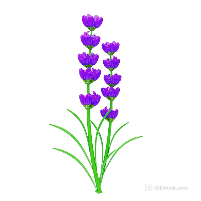 Beautiful Blooming Lavender Plant With Purple Flowers And Green Stems Leaves 3d model 
