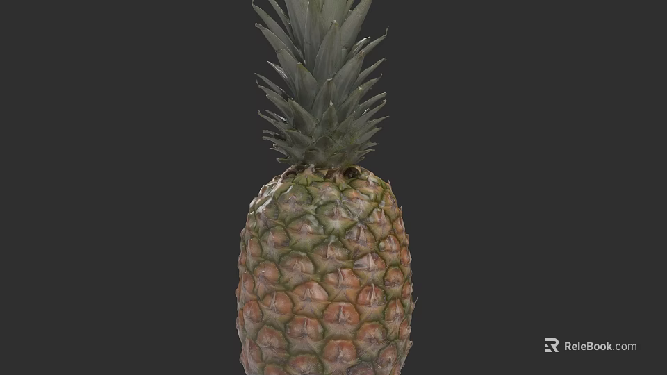 Fresh Ripe Pineapple With Green Leafy Top And Textured Yellow Skin 3d model 