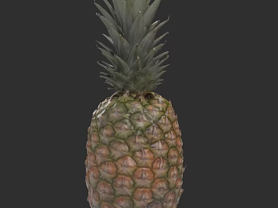 Fresh Ripe Pineapple With Green Leafy Top And Textured Yellow Skin 3d model