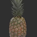 Fresh Ripe Pineapple With Green Leafy Top And Textured Yellow Skin