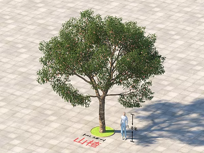 Arbor in Outdoor Paved Area with Green Circular Base Person and Street Lamp 3d model