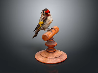 Red Headed Bird With Yellow And Black Feathers Perched On Wooden Stand With Circular Base 3d model