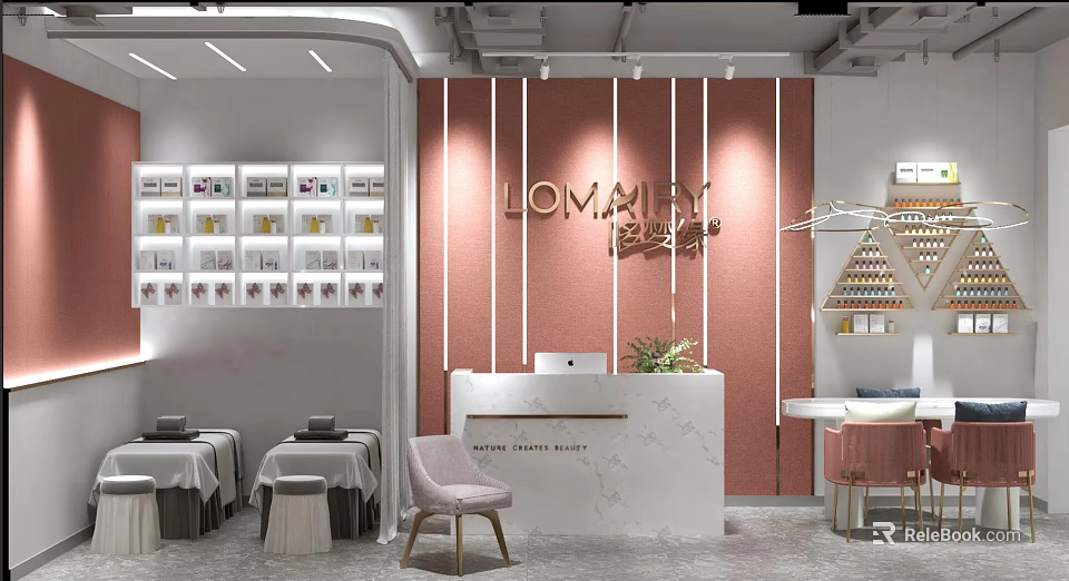 Modern SPA Salon Interior With Reception Desk And Treatment Beds 3d model 