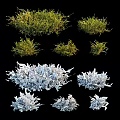 Lush Green Moss Various Decorative Forms Including Arch And Flat Patches For Natural Gardens