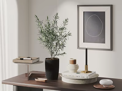 Indoor Olive Tree Bonsai in Black Pot with Wooden Shelf Books and Wall Art 3d model