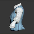 Stylish Blue Striped Vest With White Shirt Sleeves And Collared Neckline