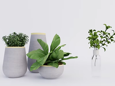 Potted Bonsai Plants with Gray Pots Large Green Leaves and Transparent Glass Bottle 3d model