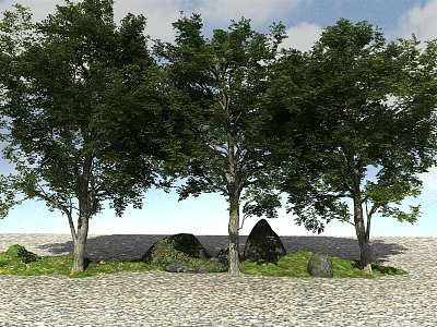 Tall Trees With Lush Green Leaves Stones And Grass On Gravel Ground Under Blue Sky 3d model