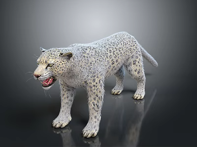 Snow Leopard 3D Model with White Fur and Black Spots Open Mouth on Black Background 3d model