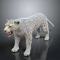 Snow Leopard 3D Model with White Fur and Black Spots Open Mouth on Black Background