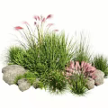 Green Herbs And Pink Feathery Plants With Stones In Natural Garden Arrangement