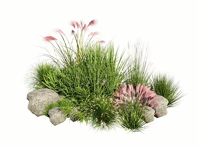 Green Herbs And Pink Feathery Plants With Stones In Natural Garden Arrangement 3d model