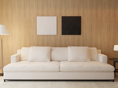 Modern double sofa combination model