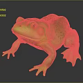 Green Frog with Orange Eyes Spotted Body and Yellow Underside on Black Reflective Surface
