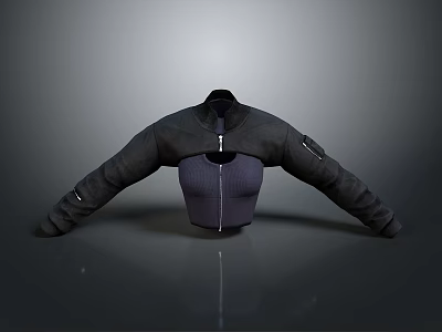 Sleek Black Jacket With Zipper Design And Long Sleeves On Mannequin 3d model