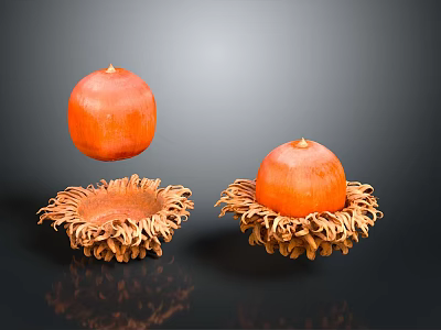 Two Fresh Orange Fruits On Brown Textured Bases Against Dark Background 3d model