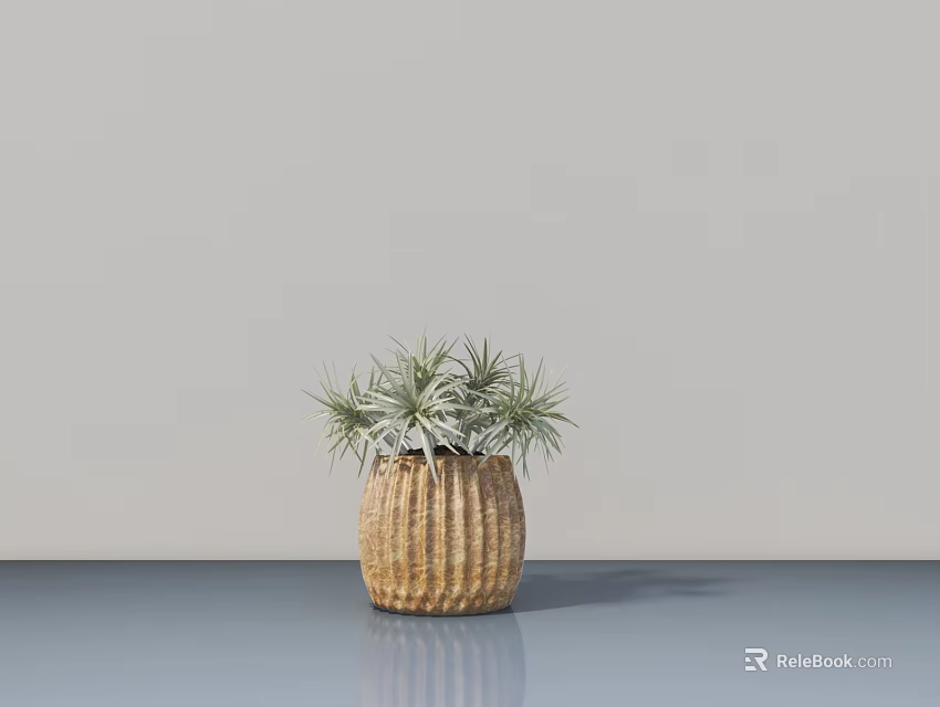 Bonsai Potted Plant With Slender Green Gray Leaves In Woven Texture Pot On Gray Table 3d model 