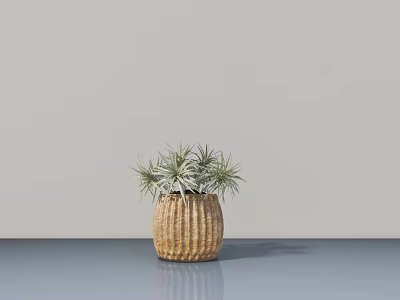 Bonsai Potted Plant With Slender Green Gray Leaves In Woven Texture Pot On Gray Table 3d model