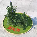 Fresh Vegetables Display In Circular Grassy Area With Green Plants And Purple Flowers
