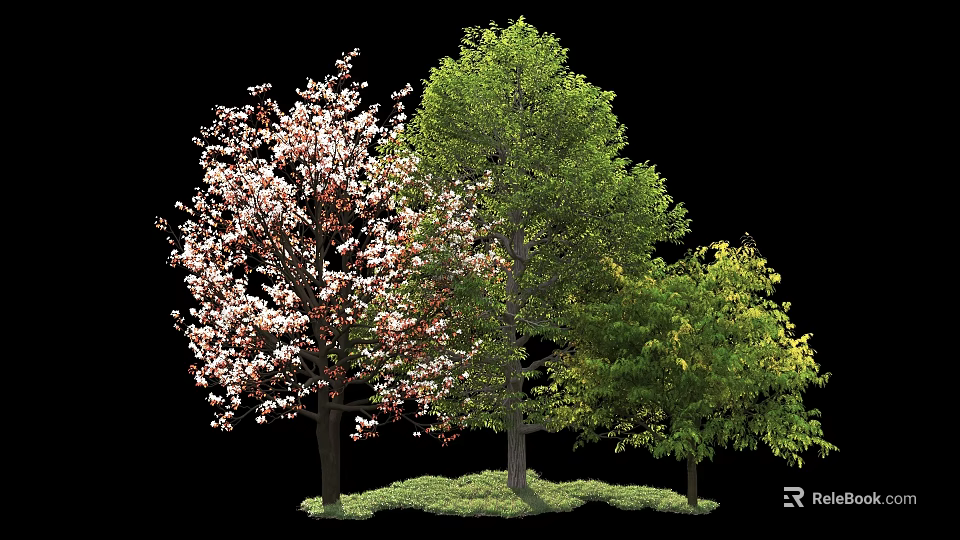 Various Types of Ornamental Trees With Pink Blossoms and Green Foliage on Grass 3d model 