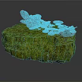 Natural Green Moss Covered Rock Surface With Cluster Of Gray Fungi