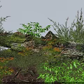 Lush Garden Bushes Surrounding Moss Covered Log With Green Leaves And Natural Vegetation