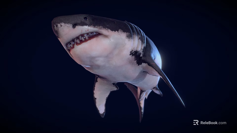 Great White Shark With Open Mouth Sharp Teeth In Deep Dark Ocean 3d model 
