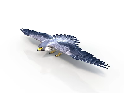 Realistic Style Falcon Falcon Raptor Flying Gray Blue Feather White Stripe Yellow Eye Ring Bird Animal Wildlife Simulation Bird Carved Eagle 3d model