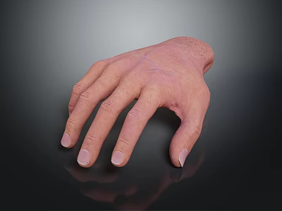 Realistic Human Hand Showing Natural Skin Tone Neatly Trimmed Nails Detailed Texture on Dark Background 3d model