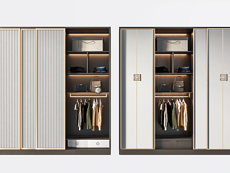 Modern wardrobe combination 3d model