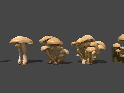 Various Light Brown Mushrooms With Different Shapes On Gray Background 3d model