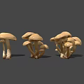 Various Light Brown Mushrooms With Different Shapes On Gray Background 3d model