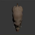 Realistic 3D Model of Light Brown Wild Boar With Tusks on Dark Background