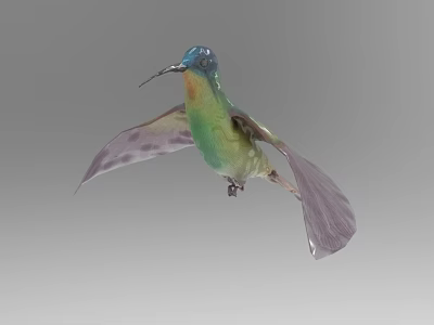 Vibrant Hummingbird With Blue Head Green Body Purple Wings And Tail Flying 3d model