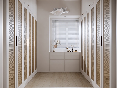 Modern style cloakroom ornaments combination model