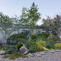 Varied Plant Combination in Garden Landscape with Trees Shrubs Flowers Stones Stepping Stones and Lantern
