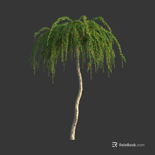 Lush Weeping Arbor With Green Hanging Branches And Slender Trunk 3d model 